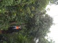 Tn DSC 4008